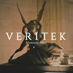 04  Veritek - Morella
