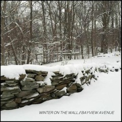 Winter On the Wall // Bayview Avenue