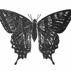 Ron Costa - Gez Uri [Potobolo Records]