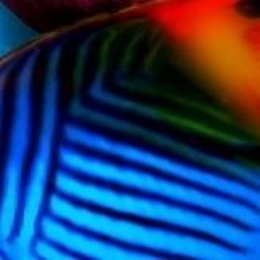 Somewhere Tropical Please