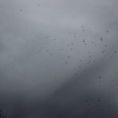 TT the Artist - Thug It Out (loKi Remix)