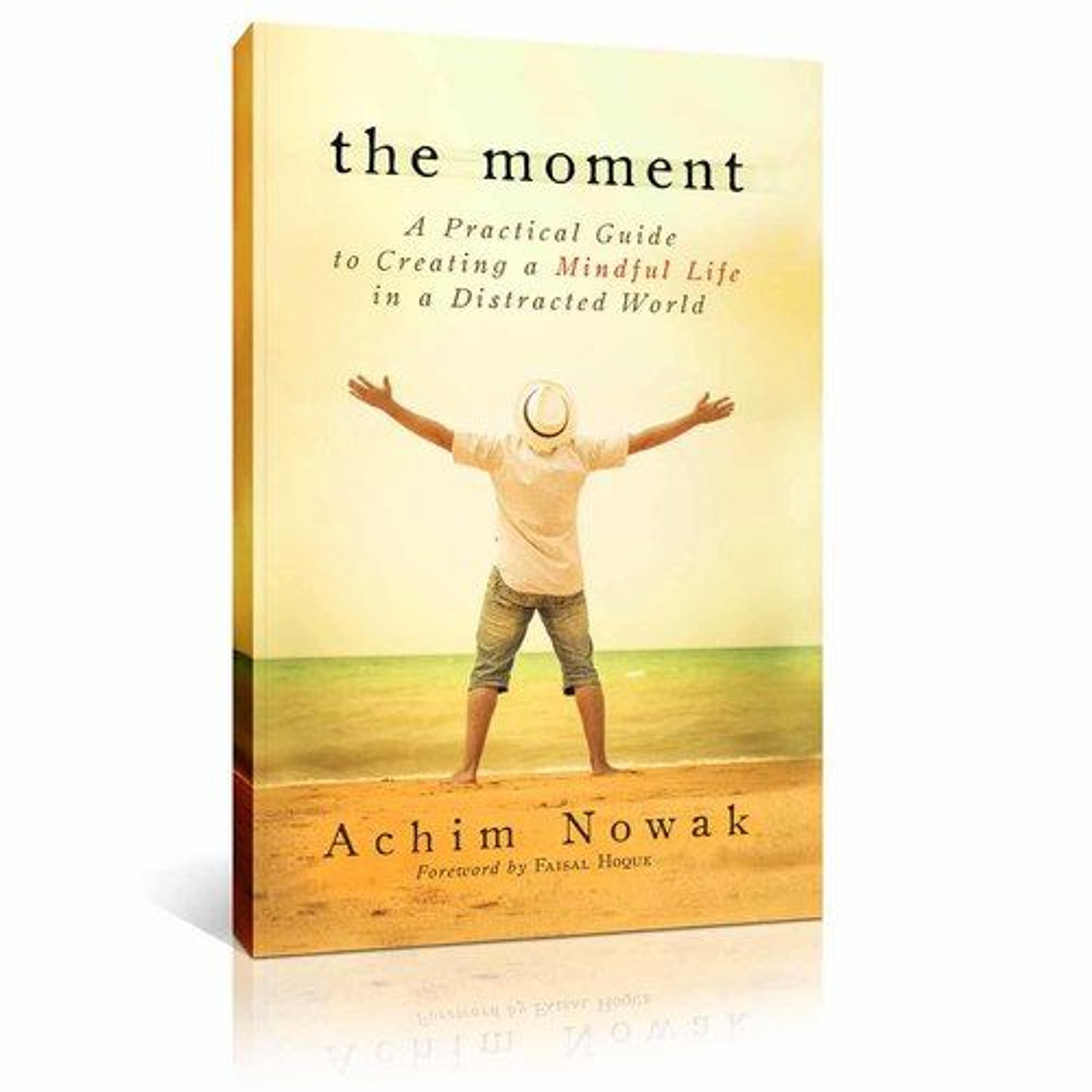 The Magical Mystery Tour Jan 29 2016 In The Moment with Achim Nowak episode artwork