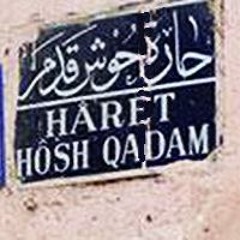 محمد رشدى  دلى الشيكارة جنب الشيكارة