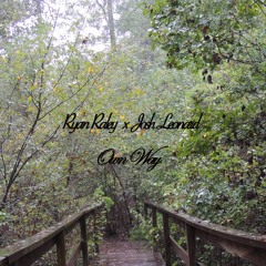 Own Way ft. Josh Leonard