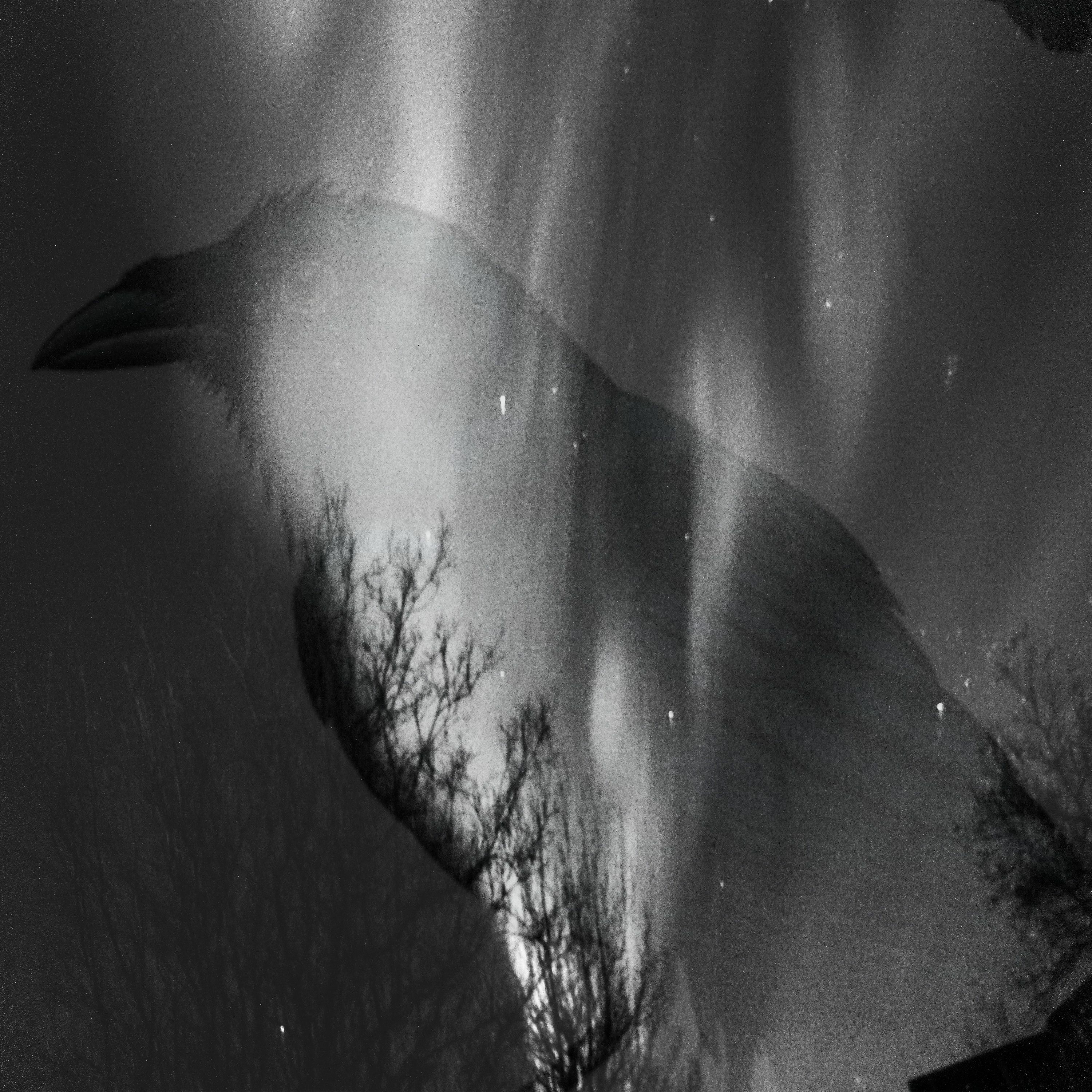 Missy Melody Epic performed on Reykjavik Underground episode artwork