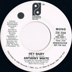 Anthony White - Hey Baby  (Funkdamento Remix)