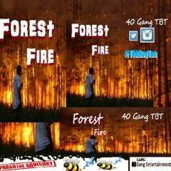 4.  Pass Me my Double Cup Freestyle