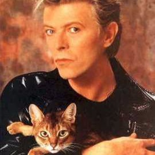 Let's Dance (David Bowie Tribute) with Christian Rossle