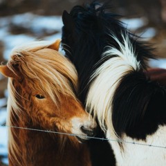 동행 - Beautiful Journey