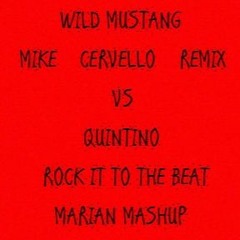 Wild Mustang(Mike Cervello Remix) Vs Quintino - Rock It To The Beat (MARIAN Mashup)