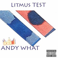 Litmus Test (Prod. Spida The Coolie, Young Savior)