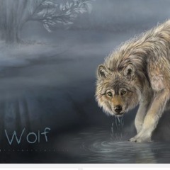 The Last Wolf - Wolf Fantasy Adventure Music