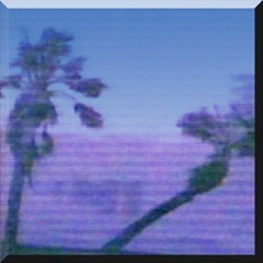 ＴＡＭＰＡ     ８３°   ＣＬＯＵＤＹ   Ｗ１５