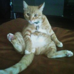 Light it Up - Original mix