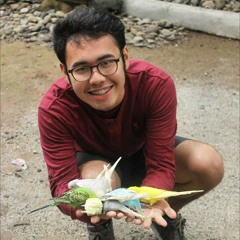 Collide - Howie Day (Cover)