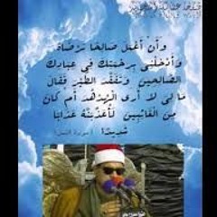 الشيخ ممدوح عامر تلاوة رائعة من سورة النمل .mp3