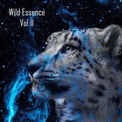 Together (Original Mix) [Deep Strips Records]