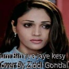 Tum Bin jiya jaye kesy Cover By Ziddi Gondal