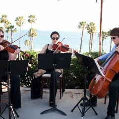 Sweet Disposition (Temper Trap) - String Quartet
