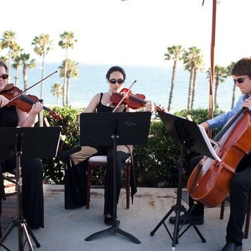 Sweet Disposition (Temper Trap) - String Quartet