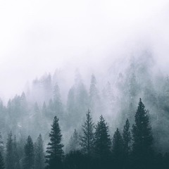 Instrumentals