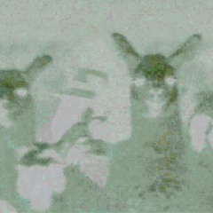 Acidity 7 (Me Gritaron Negra Remix)