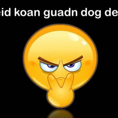 Doc Braitinger  I hob heid koan guadn dog derwischd