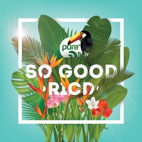 RICD - SO GOOD // moe danger remix • pure* records OUT NOW!
