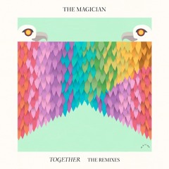 The Magician - Together (Lucas & Steve Remix) (Don Diablo Hexagon Radio Rip)