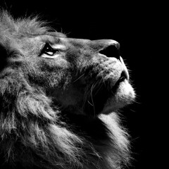 مالى سواك يا سيدي