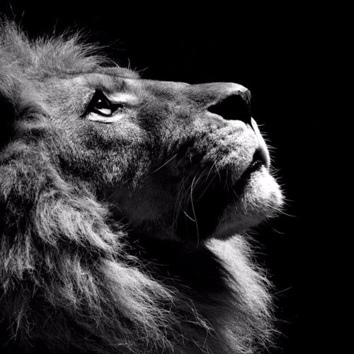 مالى سواك يا سيدي