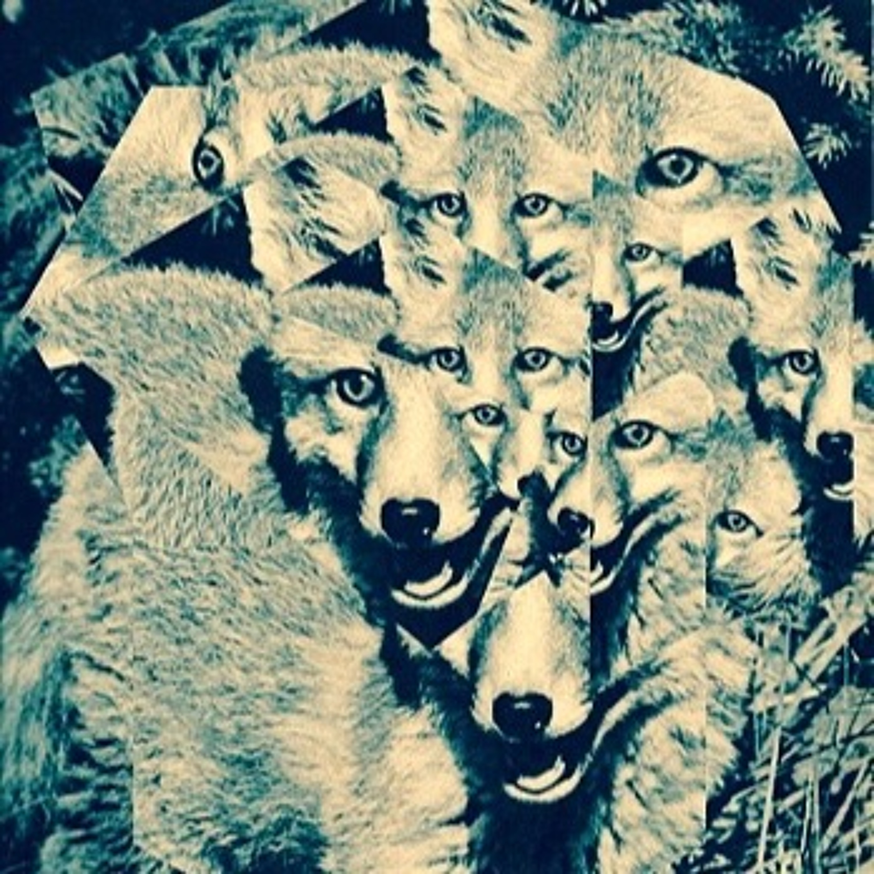 FonoFuchs