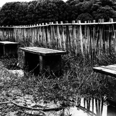 Deep House, Tech House And Techno