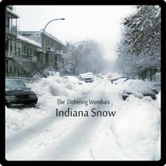 Indiana Snow