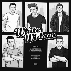 Dave Fogg uk & Bumpy Fool: Break (White Widow Records)