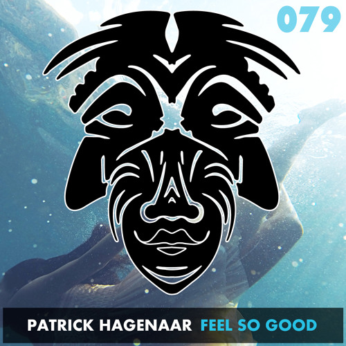 Patrick Hagenaar - Feel So Good (Played by EDX, Don Diablo, David Guetta etc)