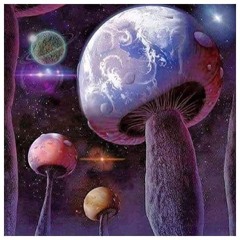 Soundapothecary - (for those who can be all ears)