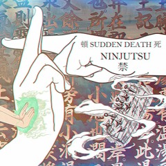 ＮＩＮＪＵＴＳＵ 忍 術