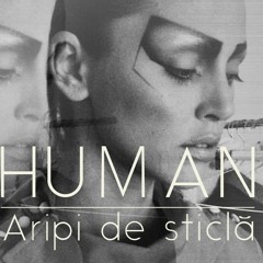 HUMAN - Aripi De Sticla (Official Single)