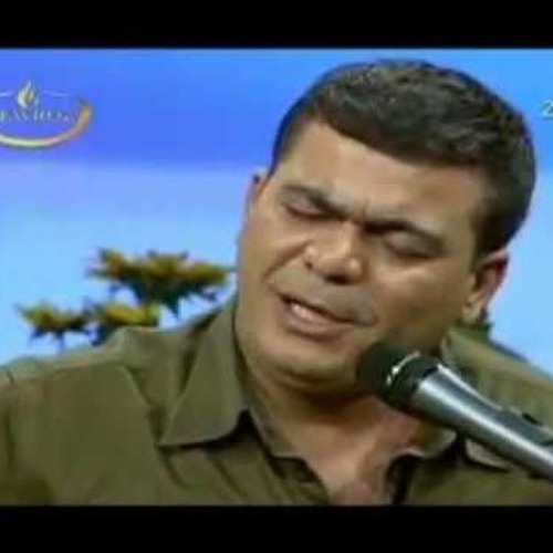 Hozan Dino Gula Dilemin