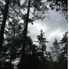 A Chance To Be With You- Prod. By Taiji Beats