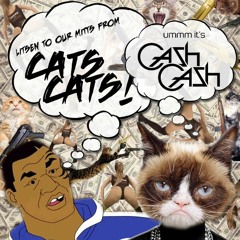 CATS CATS