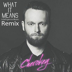 Cherokey - What it means (Intelligence Music - Kazantip Festival Remix) Free download