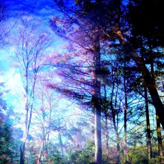 Brief Glimpses of Light