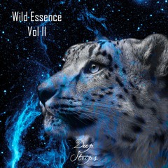 GABRE, BOSS - Found (Original Mix) OUT NOW!