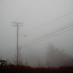 Rain For The Planet City