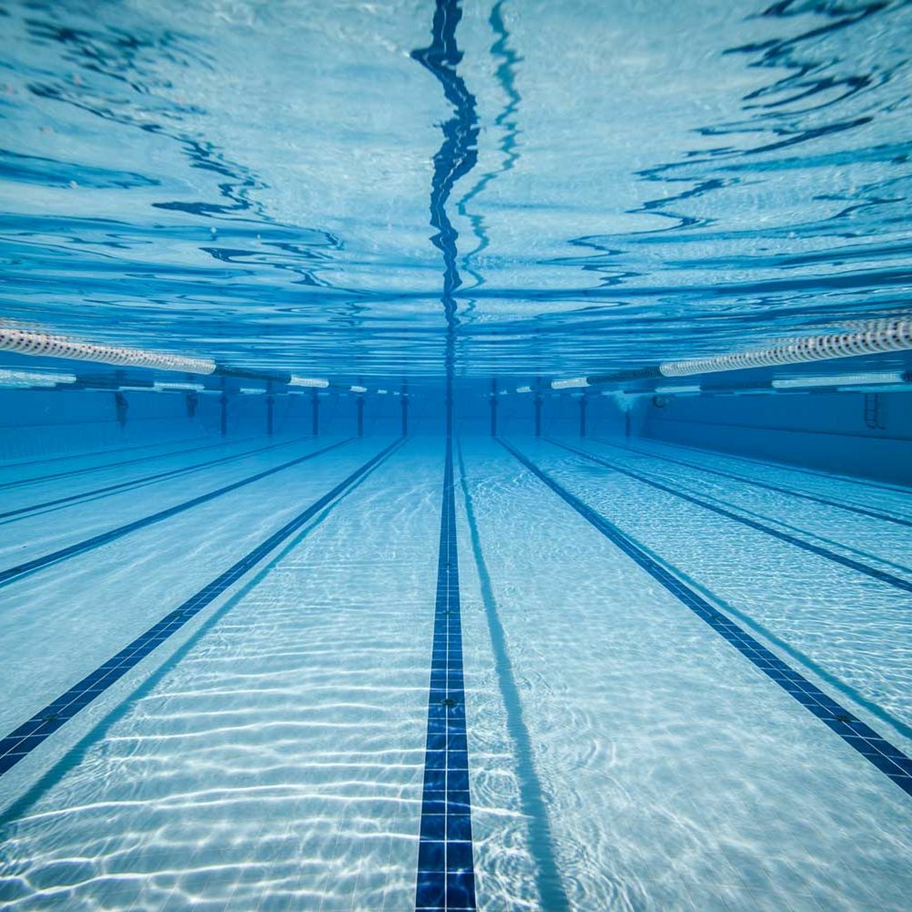 Swimming episode artwork