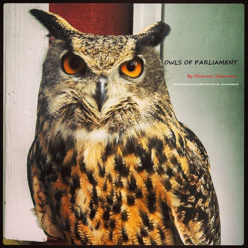 Owls of Parliament(Original)
