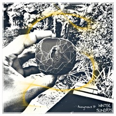 Winter Sundays (unofficial)- .AnonymousYP