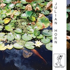 JULIAN HORN - SANPO 028